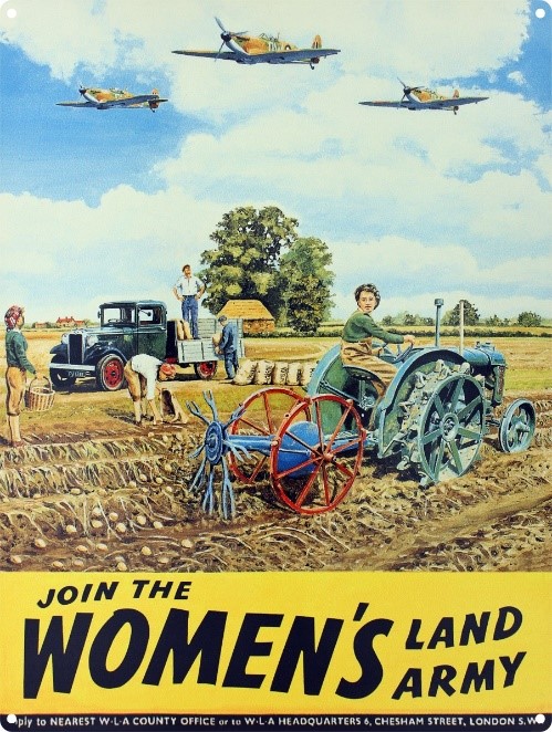 Image result for women's land poster